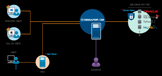 DB세이퍼 구성도. 피앤피시큐어 제공